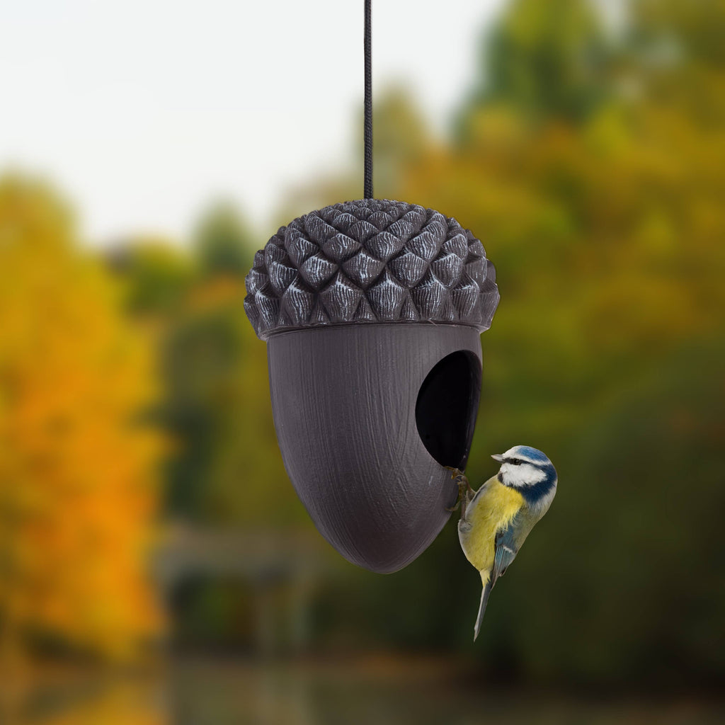 Acorn Shaped Bird Feeder for Seed or Mealworms