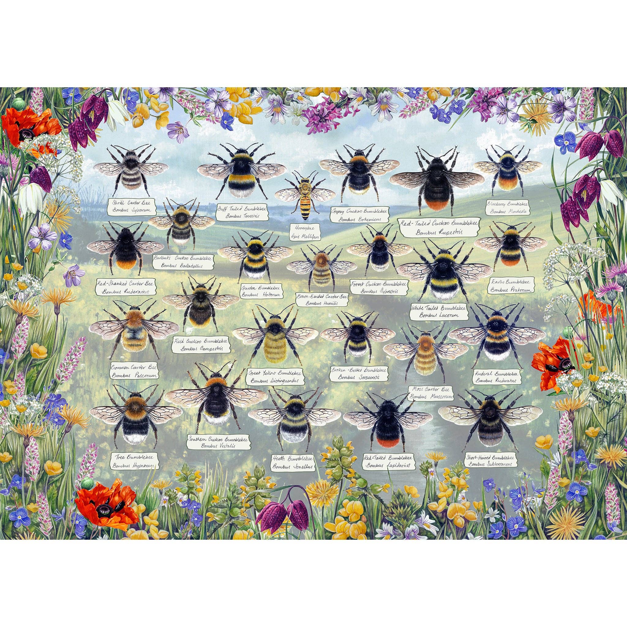 Brilliant Bees 1000 Piece Jigsaw Puzzle