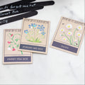 Wild Garden Flowers Seed Mix