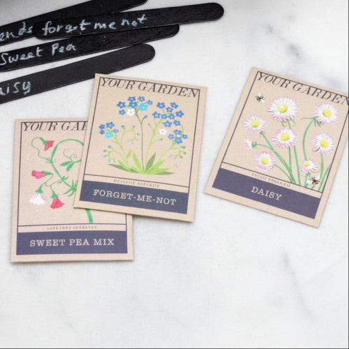 Wild Garden Flowers Seed Mix