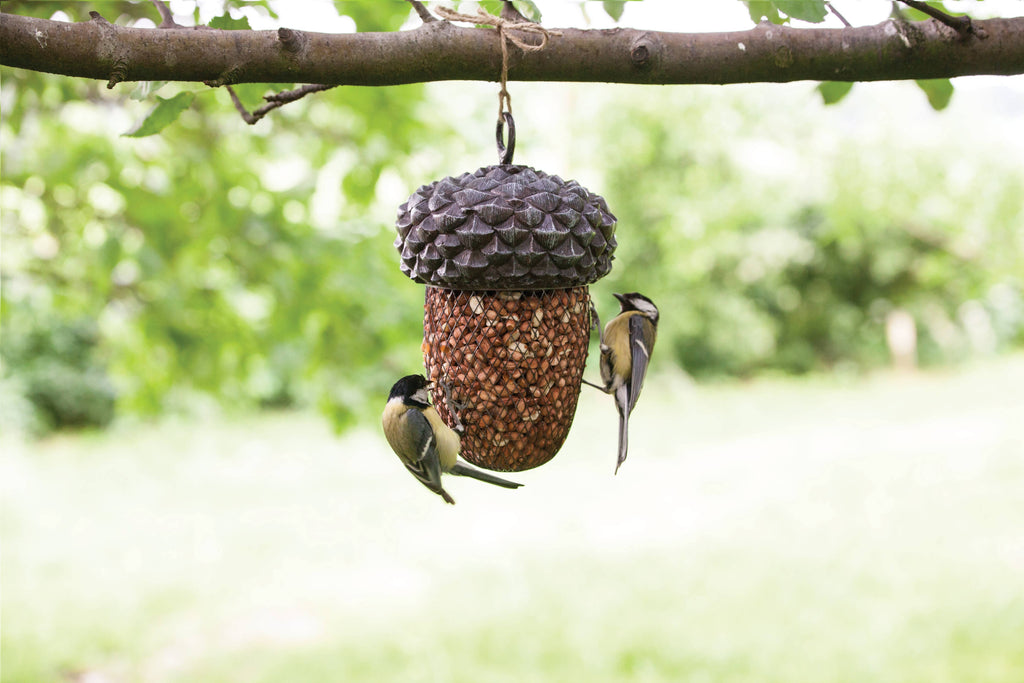 Acorn Shaped Bird Nut Feeder