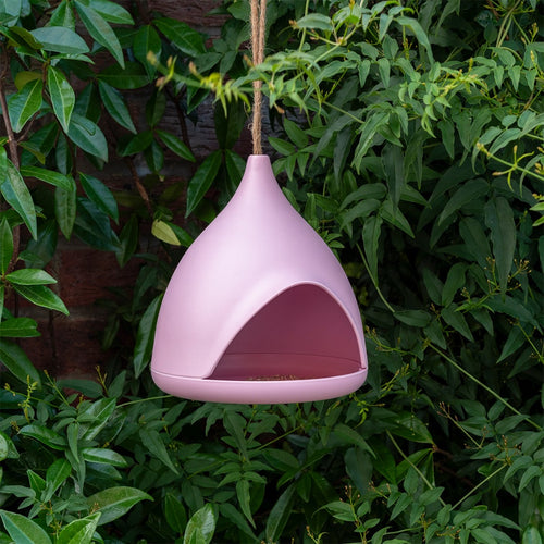 19.5cm Bamboo fibre bird feeder - Pink