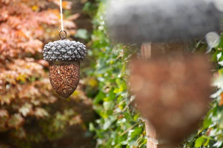 Acorn Shaped Bird Nut Feeder