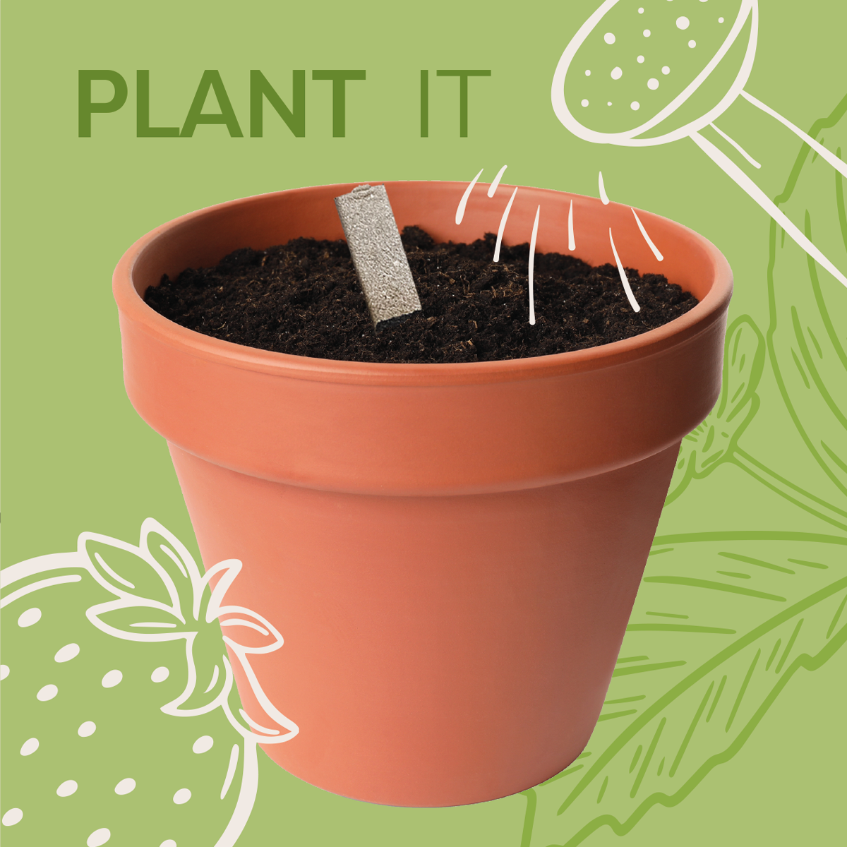 Go Wild Seedsticks®