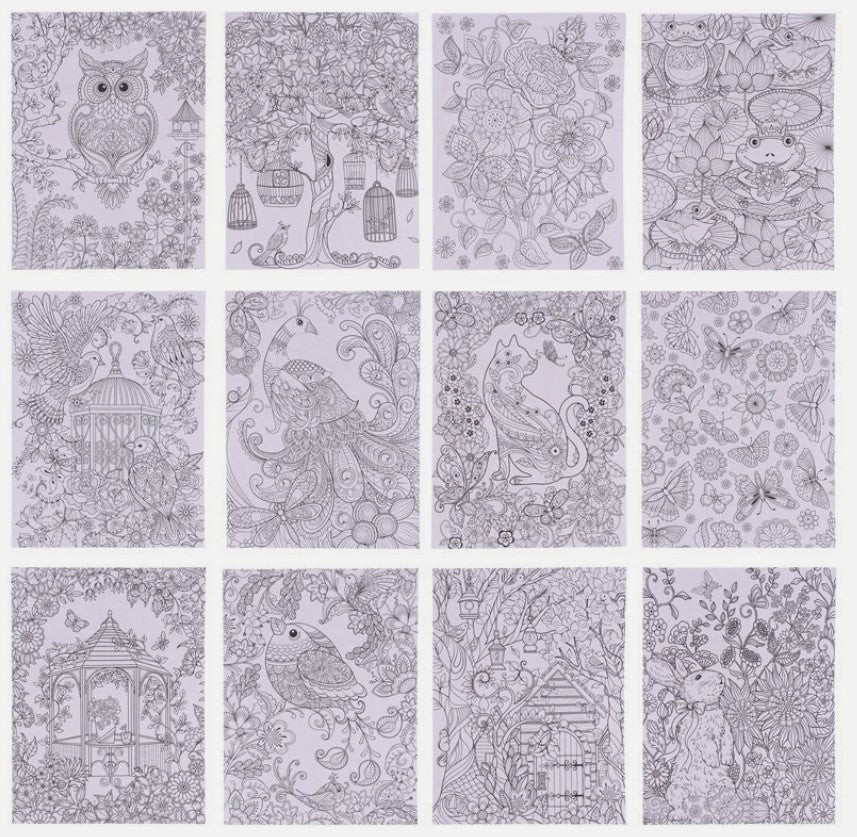 Adult Colouring Book - Forest & Garden - 24 Pages