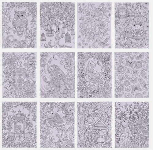 Adult Colouring Book - Forest & Garden - 24 Pages