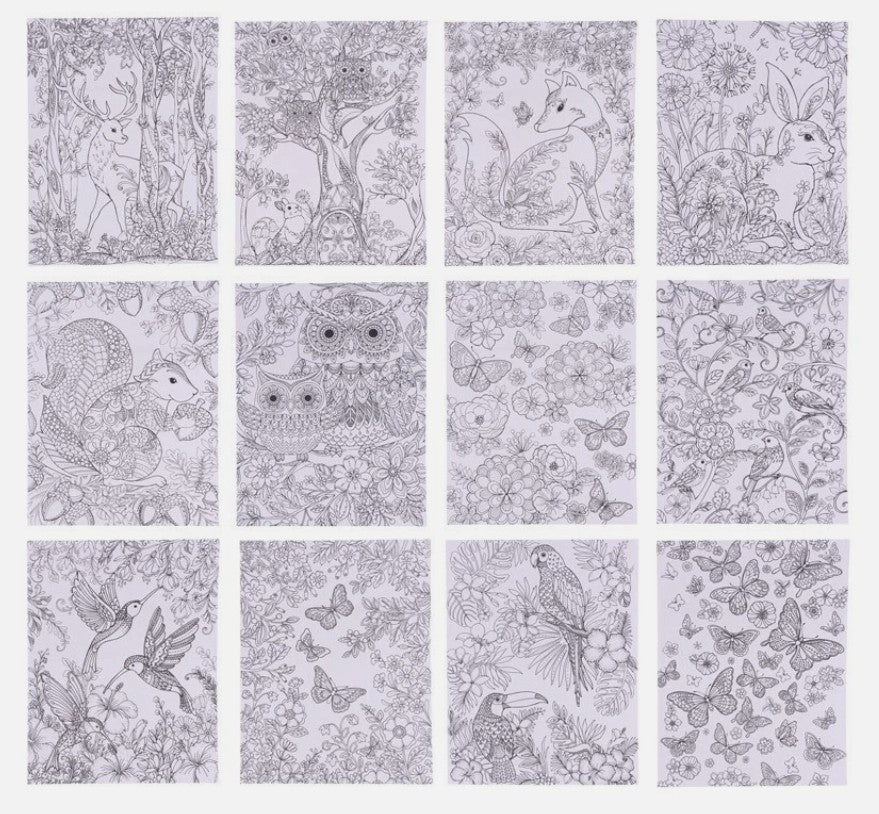 Adult Colouring Book - Forest & Garden - 24 Pages