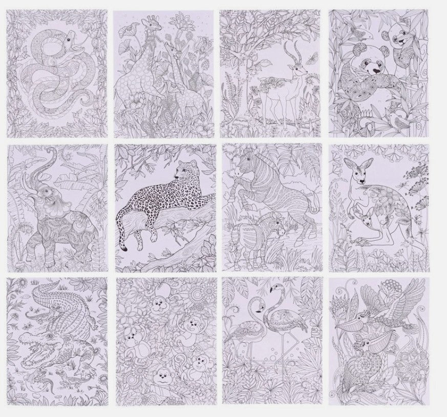 Adult Colouring Book - Zoo & Jungle - 24 Pages