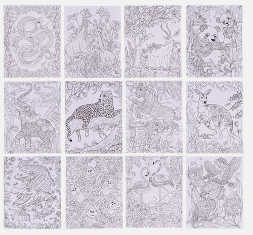 Adult Colouring Book - Zoo & Jungle - 24 Pages