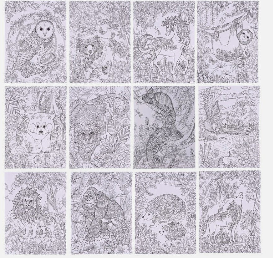 Adult Colouring Book - Zoo & Jungle - 24 Pages